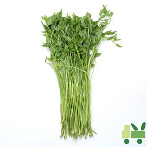 돌미나리 8Kg