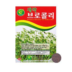 [기타]새싹 브로콜리씨앗/30g 브로콜리싹 씨앗
