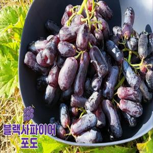 블랙사파이어 블랙가지포도 스윗사파이어 8봉지(8kg내외)