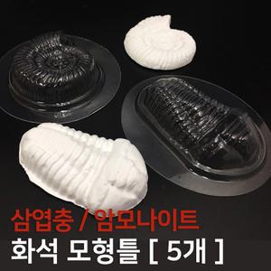 사이언스조아 화석모형틀/삼엽충/암모나이트/택1/42749