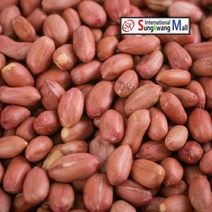 성광몰 볶음땅콩 500g 국산 볶은 구운 간식 안주 껍질 땅콩 견과류