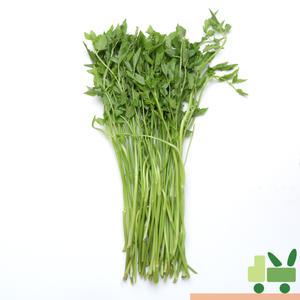 돌미나리 2Kg