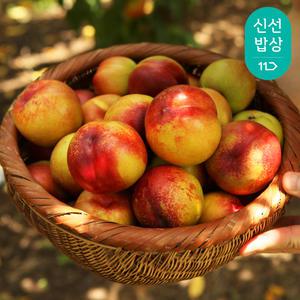 농협과일 영천 금호농협 천도복숭아 3kg (27~32과) X 2 box