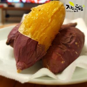 베니하루카 25년 햇 해남 황토 꿀고구마 5kg 한입
