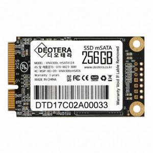 디오테라 VIVA 300S LITE mSATA 256GBin