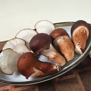 [하진이네] 산지 무농약 GAP 참송이버섯 못난이/중품/상품 500g