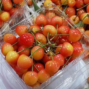 새콤달콤 특별한 맛 국내산 노란 생체리