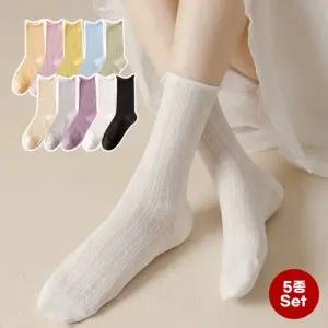 [5개set] 캔디팝 삭스 여름 얇은 무압박 임산부 시스루 돌돌이 중목 여성 양말