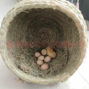 닭산란통 닭둥지 산란장 병아리집 닭알 닭알둥지 만들기 35CM 패드 직경 오리