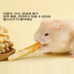 준하마켓 햄스터간식 소동물간식 햄스터먹이