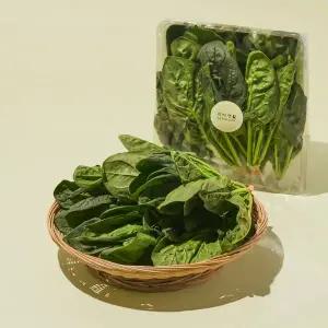 대관령 고랭지 시금치 200g