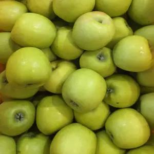 가정용 못난이 아오리,썸머킹,4kg(한입사과)램덤(27~35과)