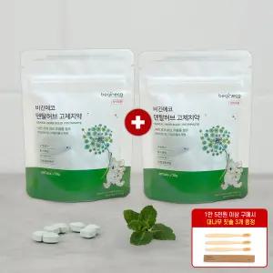비긴에코 덴탈허브 고체치약 40정+40정