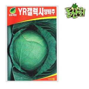 갤럭시양배추씨앗 100립 양배추종자 샐러드 채소씨앗 텃밭채소
