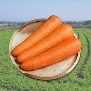국내산 세척당근 다용도 못난이 5kg 10kg 국산 제주 구좌당근