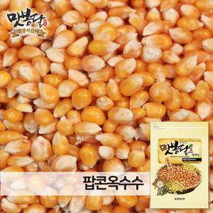 24년산 팝콘 옥수수 옥수수알 생옥수수 미국산 500g