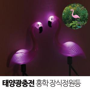 태양광 홍학 모양 정원등 장식등/플라밍고 화단 잔디 원예조명 인테리어 가드닝 야외등 동물모양 장식조명 예쁜집 꾸미기