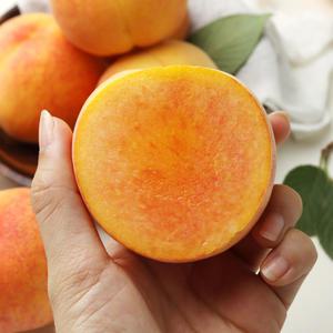 햇사레 GAP 부드러운 황도 복숭아 4kg(17-19/14-16/12-13과내)