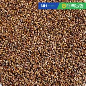 [농협] 우리농산물 한산애 결명자 500g