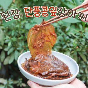 된장 단풍콩잎 장아찌 삭힌 콩잎 국산 500g 순창 장담아