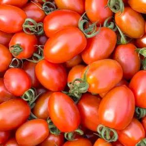 [블루밍그린] 국내산 대추방울토마토 1kg(1-3번과)