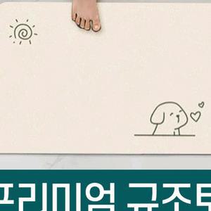 발매트 쓰는 빨아 프리미엄 규조토 욕실 주방 현관 논슬립 물 흡수 깨지지않는 큐조토 화장실 발판