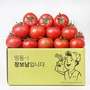토마토 완숙 찰토마토 5kg(5번/소과)