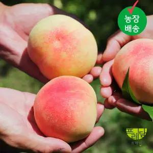 딱딱이 백도 털복숭아 4kg(대과) 10-15과내외