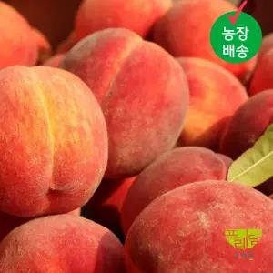 달콤한 과즙 황도 털복숭아 4kg(중과) 16-19과내외