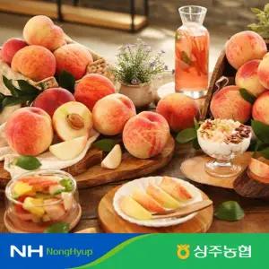 [상주농협 아삭한 백도 복숭아 4kg(4kgx1박스/개당중량215g~330g)