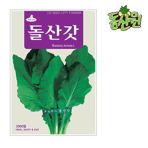 돌산갓씨앗 2000립 갓종자 김장 가을 채소씨앗 텃밭채소
