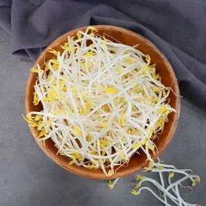 녹두건강 숙주나물 1kg