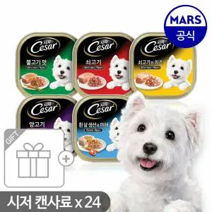 [마즈] 시저 캔 100gx24개