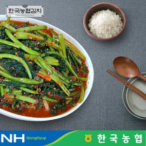 한국농협김치 전라도 순천 남도 열무김치 3kg