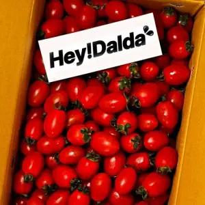 대추 방울토마토 2kg (4-5번) 소과