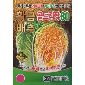 황금골드 김장 배추 씨앗 배추씨 종자 가을 500알