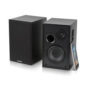캔스톤 R770BT 2채널 블루투스 북쉘프 스피커