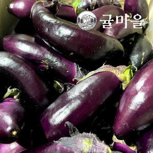 귤마을 국내산 가정용 가지 5kg