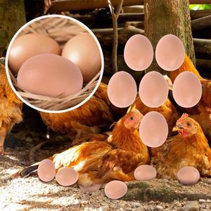 농장 5/10PCS 부화 계란 부활절 암탉 가금류 해치 번식 시뮬레이션 가짜 플라스틱 인공 계란 DIY 그림 계란