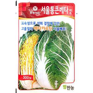 서울통큰베타배추 300립 25년