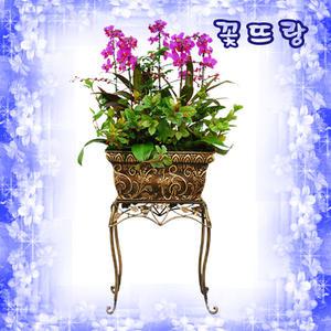 [쥬마] 축하, 취임, 실내장식 등 ▣전국무료 당일배송▣