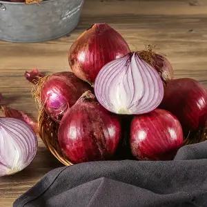 [농부마음] 국내산 자색양파 10kg(특품)