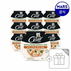 시저 홀썸볼 닭고기 고구마 콩 85g 10개/강아지 주식 습식사료
