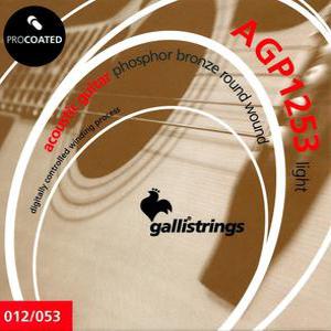 갈리 코팅 어쿠스틱 스트링 Galli String Pro Coted Phosphor Bronze AGP1253 012-053