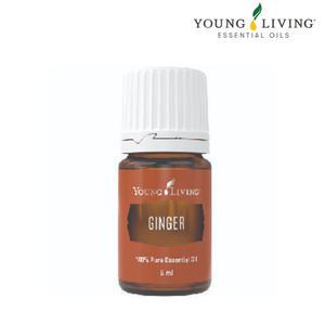영리빙 진저 에센셜오일 바이탈리티 5ml 글로벌넘버원 오일 선물팡팡