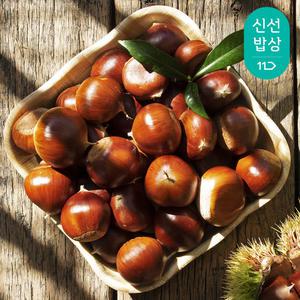 [품질보장] 25년산 부여 햇 알밤 2kg