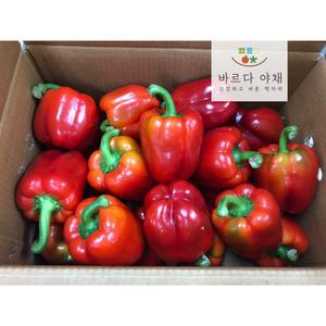 바르다야채 빨강 파프리카(특) 1kg~5kg