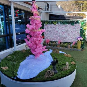 [경북 펜션] 경주 늘품풀빌라 (경주(보문단지,황리단길,불국사,양남,감포,안강))
