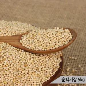 건강알곡 순백기장 5kg 앵무새 햄스터 모이 사료