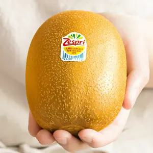 [맛젤] 제스프리 점보 골드키위 대용량 (개당 150g내외 36-37입) 5.7kg